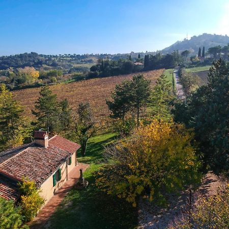ברטינורו Il Vigneto Cottage מראה חיצוני תמונה