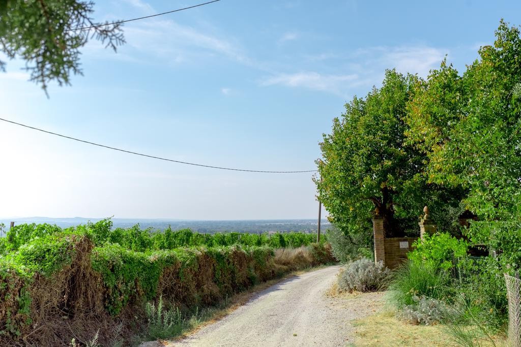 ברטינורו Il Vigneto Cottage מראה חיצוני תמונה