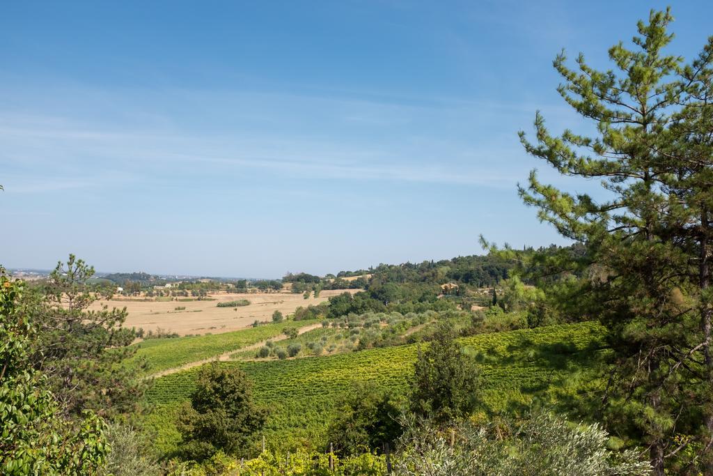 ברטינורו Il Vigneto Cottage מראה חיצוני תמונה